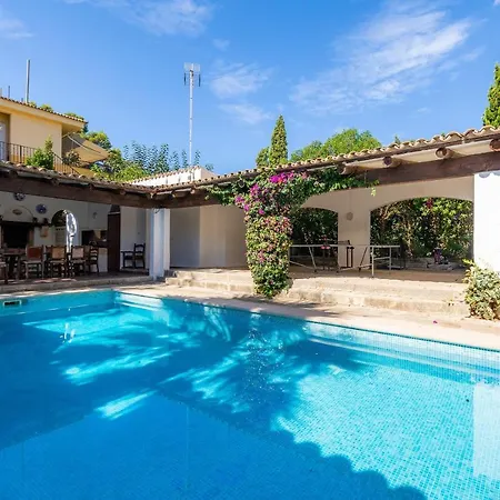 Palmitos Can Picafort (Mallorca)