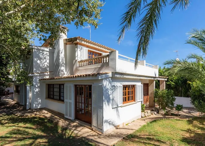 Palmitos 캔 피카폴트