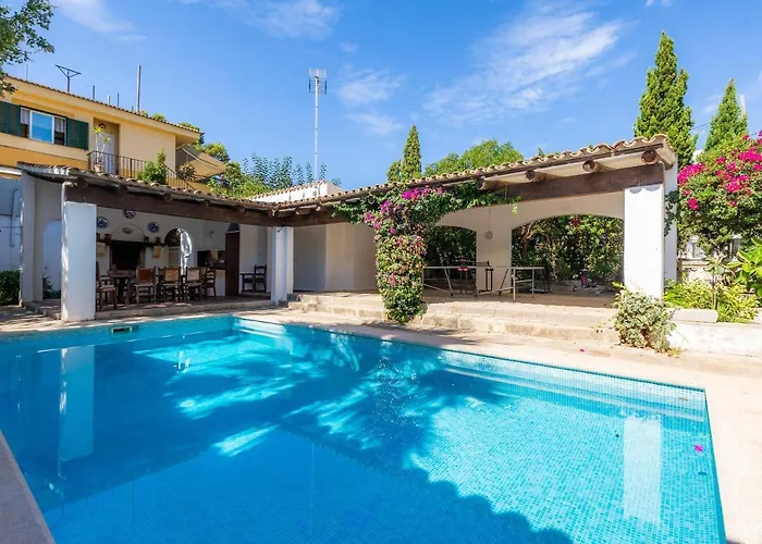 Palmitos 캔 피카폴트